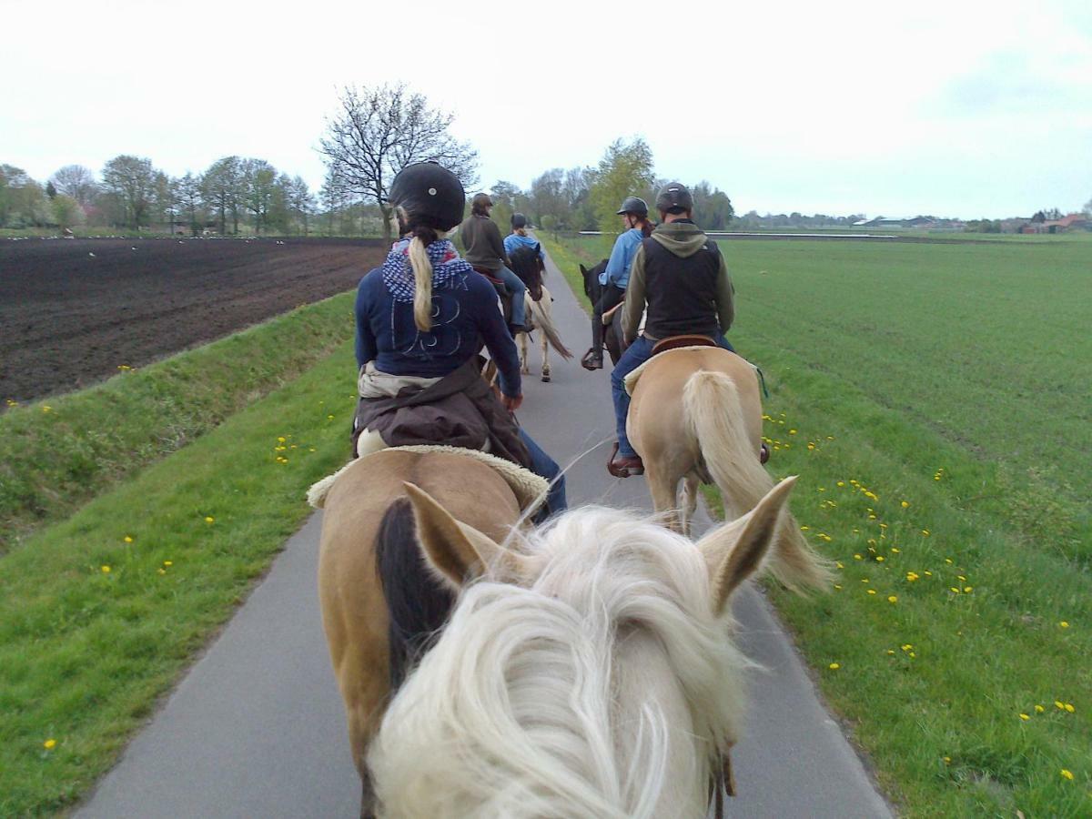 Ferien- Und Reiterparadies Vosshornerhof Neuschoo Zewnętrze zdjęcie